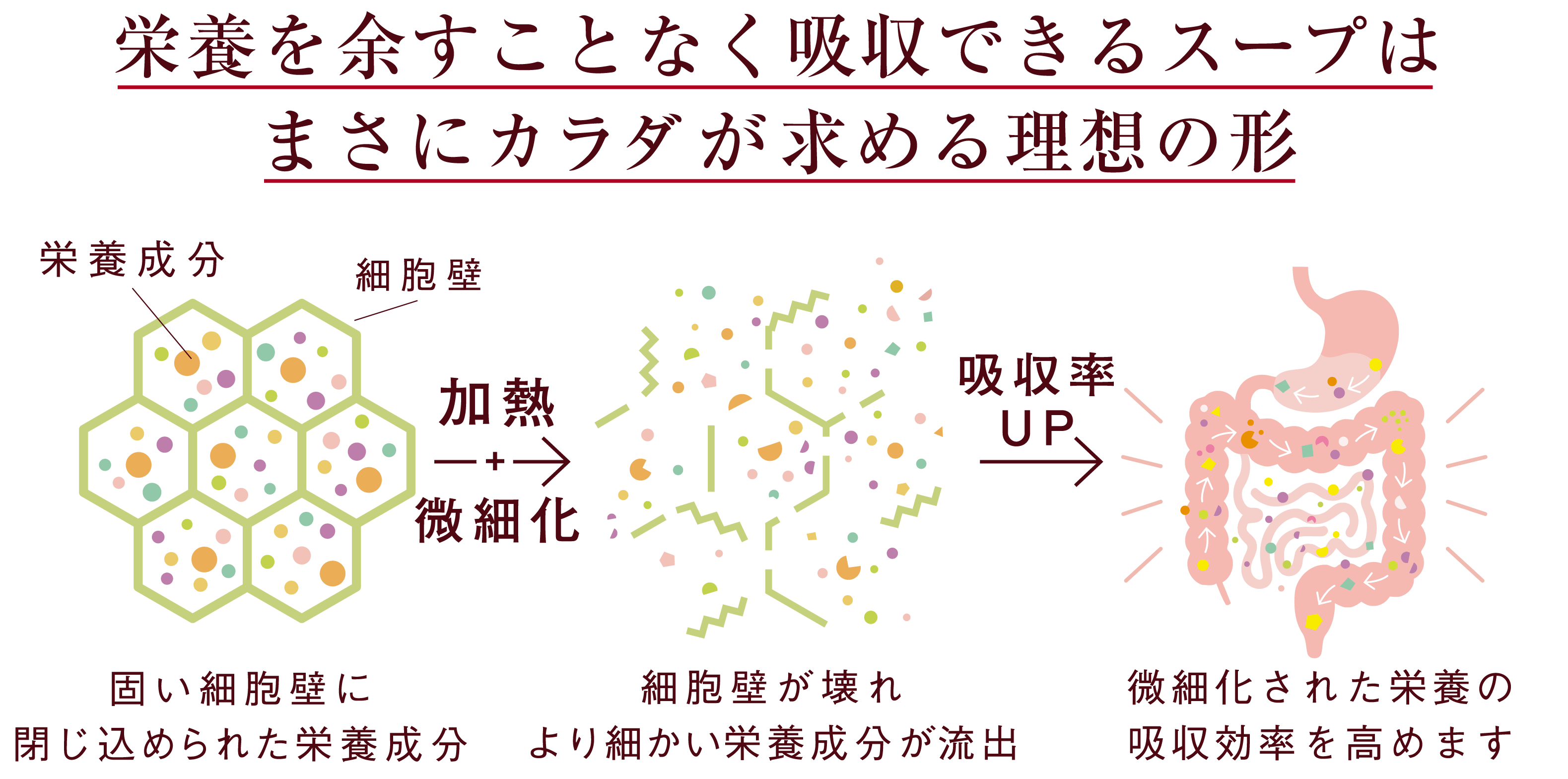 カラダが求める理想の形